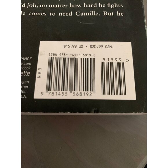 The Protector by Jodi Ellen Malpas featuring Camille Logan and ex Military Snipe - Picture 6 of 6